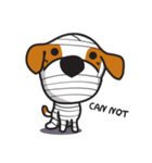 The Cash~funny dog jumping to the world~（個別スタンプ：40）