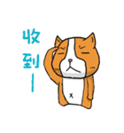 Dog ＆ Bear（個別スタンプ：33）