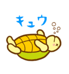 まさQのカメライフ（個別スタンプ：8）