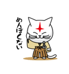 もののふ猫（個別スタンプ：3）