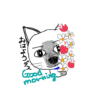 ちょびねこ（個別スタンプ：24）