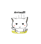Mat, The Cat II（個別スタンプ：24）