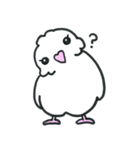 白いインコ乙女（個別スタンプ：29）