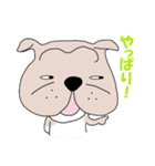 ブルドッくん  だもの（個別スタンプ：35）