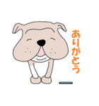 ブルドッくん  だもの（個別スタンプ：38）