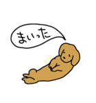 スリーリトル犬（個別スタンプ：18）