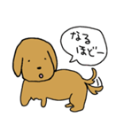 スリーリトル犬（個別スタンプ：35）