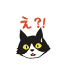 リアクション猫（個別スタンプ：2）