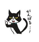 リアクション猫（個別スタンプ：23）