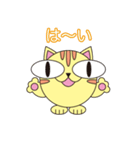 ねこの日常 （丸顔くん第21弾）（個別スタンプ：1）