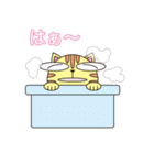 ねこの日常 （丸顔くん第21弾）（個別スタンプ：12）