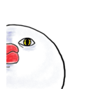 もっちり文鳥～君は天使それとも小悪魔！？（個別スタンプ：9）