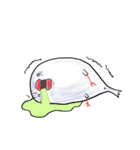 もっちり文鳥～君は天使それとも小悪魔！？（個別スタンプ：37）