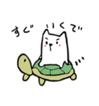 関西ねこおやじ（個別スタンプ：5）
