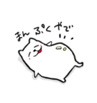 関西ねこおやじ（個別スタンプ：10）