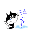 CAT ＆ DOG（個別スタンプ：21）