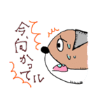 CAT ＆ DOG（個別スタンプ：23）
