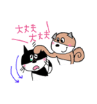 CAT ＆ DOG（個別スタンプ：30）