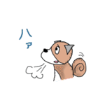 CAT ＆ DOG（個別スタンプ：33）