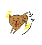 のら猫のウォルちゃん（個別スタンプ：13）