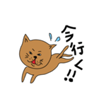 のら猫のウォルちゃん（個別スタンプ：36）