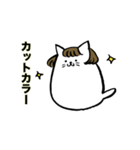 ねこ美容師（個別スタンプ：7）