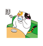デブ猫のブータマ。（個別スタンプ：3）