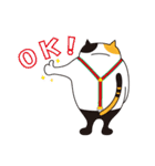 デブ猫のブータマ。（個別スタンプ：10）