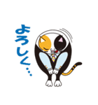 デブ猫のブータマ。（個別スタンプ：16）