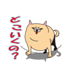 デブ猫のブータマ。（個別スタンプ：25）