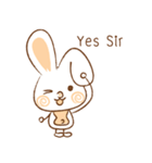 amieiko: Bunny [eng]（個別スタンプ：12）