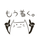 ねこたまさん（個別スタンプ：11）