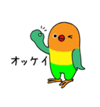 のんちゅとボタンインコ（個別スタンプ：2）