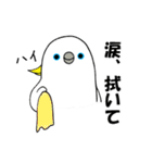 のんちゅとボタンインコ（個別スタンプ：9）
