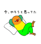 のんちゅとボタンインコ（個別スタンプ：10）