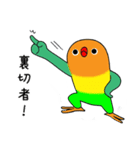 のんちゅとボタンインコ（個別スタンプ：13）