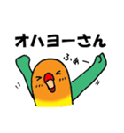 のんちゅとボタンインコ（個別スタンプ：18）