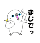 のんちゅとボタンインコ（個別スタンプ：20）
