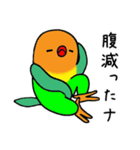 のんちゅとボタンインコ（個別スタンプ：21）