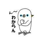 のんちゅとボタンインコ（個別スタンプ：23）