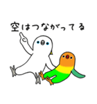 のんちゅとボタンインコ（個別スタンプ：24）