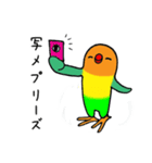 のんちゅとボタンインコ（個別スタンプ：28）