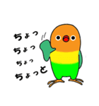 のんちゅとボタンインコ（個別スタンプ：29）