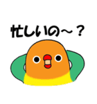 のんちゅとボタンインコ（個別スタンプ：34）