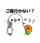 のんちゅとボタンインコ（個別スタンプ：36）
