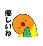のんちゅとボタンインコ（個別スタンプ：38）