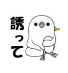 のんちゅとボタンインコ（個別スタンプ：39）
