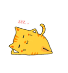黄色の猫をタビー（個別スタンプ：19）
