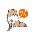 もふもふ長毛ネコくん（個別スタンプ：7）