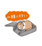 もふもふ長毛ネコくん（個別スタンプ：9）